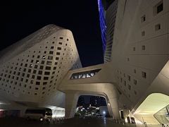 -国际青年会议酒店