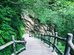 -王顺山国家森林公园