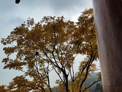 -径山寺