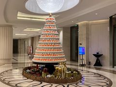 -常州武进九洲喜来登酒店