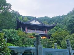 -十八棵（老龙井）御茶园(老龙井店)