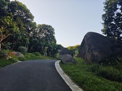 -玉树公园
