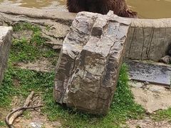 -无锡动物园·太湖欢乐园