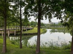 -眉山湿地公园(东坡区)