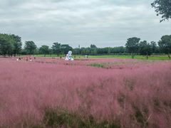 -汉长安城未央宫国家考古遗址公园