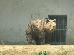 -上方山森林动物世界