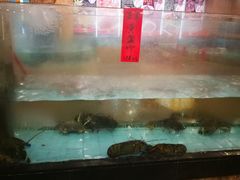 -春满人间酒楼(园岭中路店)