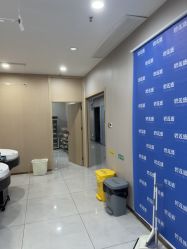 -碧莲盛不剃发植发