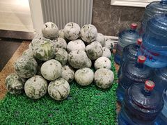 -新兴家喻酒家·羊城名宴(昌岗店)