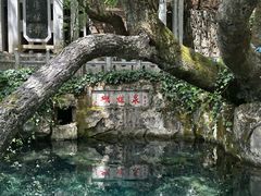 -蝴蝶泉公园