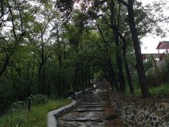 -阳台山自然风景区