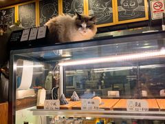 -咖法森林·咖啡  酒吧(天河店)