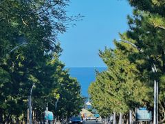 -养马岛旅游度假区