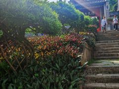 -国恩寺