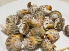 -青蓬海上捞蒸品海鲜城(海岸城店)