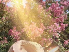 -杭州城北体育公园