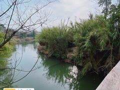 -白鹭湾湿地公园