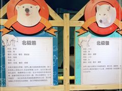 -海合安武汉极地海洋公园