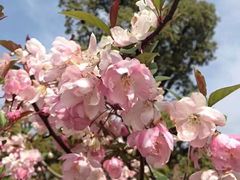 -同济大学(嘉定校区)