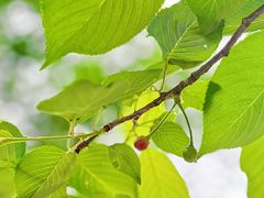 -杭州少年儿童公园