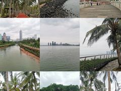 -万绿园