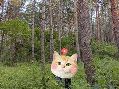 -帽儿山国家森林公园