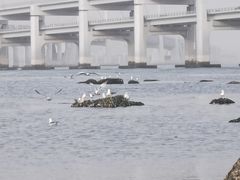 -黑石礁公园