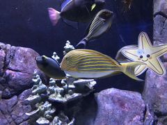 -成都浩海立方海洋公园