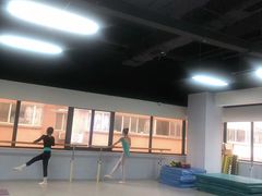 -舞蕾舞蹈(特长生校区)
