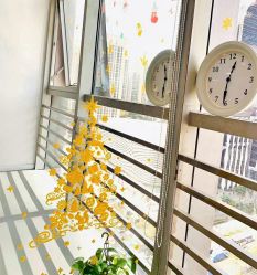 点击看大图 -深舞形体民族舞蹈工作室