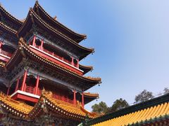 -洲晓鱻舟山海鲜(2号店)