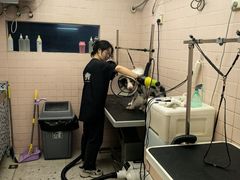 -FAELING PETS美天灵宠物(富力广场店)