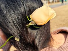 -桃花岛公园