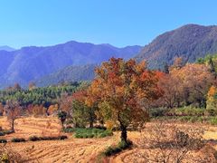 -塔川景区