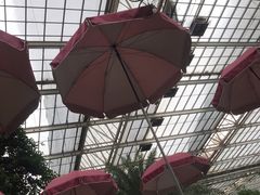 -龙达温泉生态城