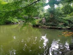 -杭州植物园