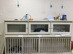 -德元·美联众合24小时动物医院(总院)