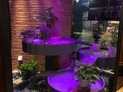 -润园四季椰子鸡火锅(海上世界店)