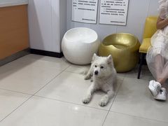 -思琪宠物医院(昆山花桥店)