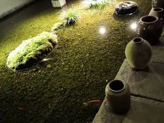 -几荷·恰似故人来(秀水广场店)