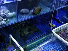 水产区-金龙·打边炉(武进路店)