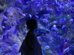 -太平洋海底世界