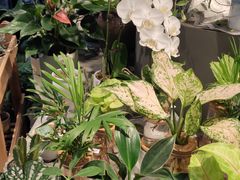 -Olé精品超市(上海虹桥南丰城店)