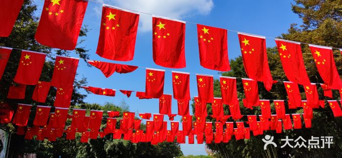 东方绿舟景区图片