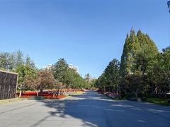 -上海市龙华烈士陵园