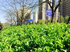 -远洋未来广场(育慧北路店)