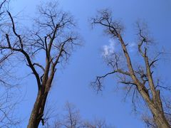 -延安杨家岭革命旧址