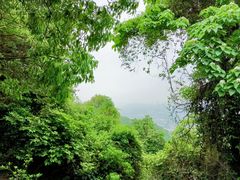 -火炉山森林公园