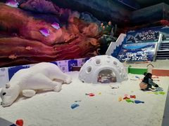 -青岛嘉年华主题乐园