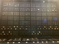 -北京周口店北京人遗址博物馆